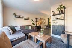 09 Lisdodde 6 Oudenbosch.jpg