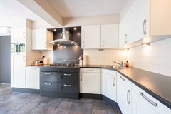 13 Lisdodde 6 Oudenbosch.jpg