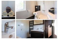 29 Lisdodde 6 Oudenbosch.jpg