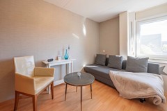33 Lisdodde 6 Oudenbosch.jpg