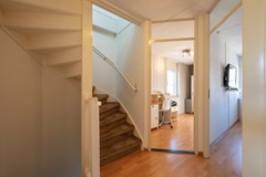37 Lisdodde 6 Oudenbosch.jpg