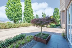 05 Voorste Monnikenland 16 Hoeven.jpg