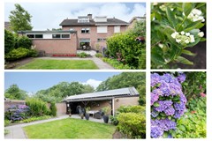 23 Chris Mollaan 21 Etten-Leur.jpg