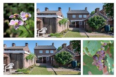 18 Akkerlingen 36 Hoeven.jpg