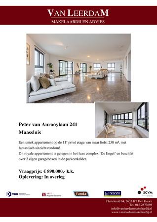 Brochure preview - brochure Peter van Anrooylaan 241.pdf