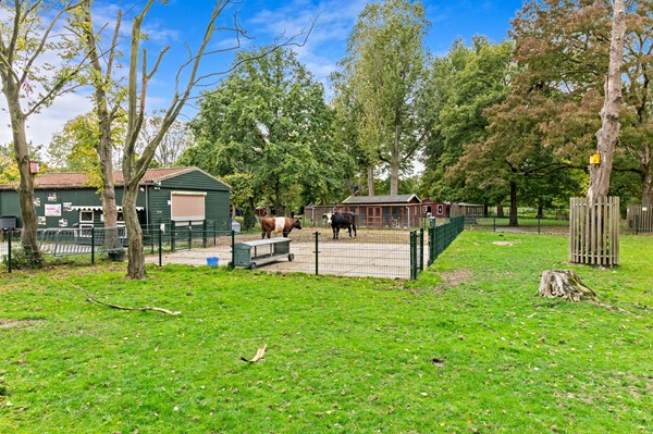 Medium property photo - Schiedamseweg 118, 3121 JL Schiedam