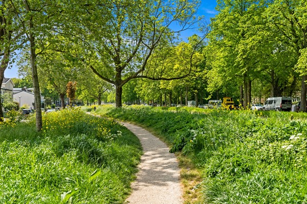 Foto_Lijsterbeslaan78_Delft_50.jpg