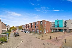 Foto_Fluitekruid48_DenHoorn_3.jpg