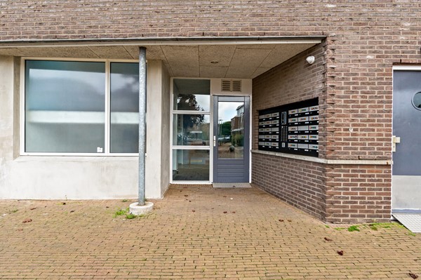 Foto_Fluitekruid48_DenHoorn_5.jpg