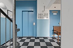 Foto_Fluitekruid48_DenHoorn_6.jpg