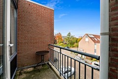 Foto_Fluitekruid48_DenHoorn_13.jpg