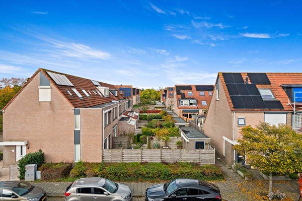 Foto_Fluitekruid48_DenHoorn_15.jpg