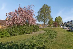 Montenaken314651JJSteenbergenNB-50.jpg