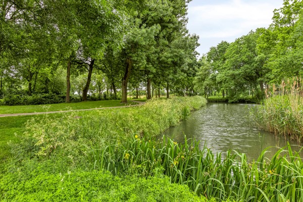 Medium property photo - Dorus Rijkersstraat 57, 4671 AB Dinteloord