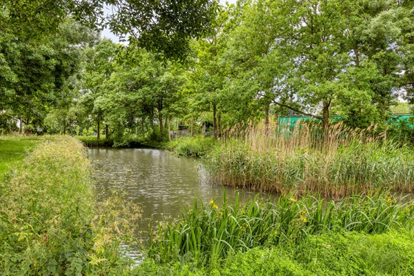 Medium property photo - Dorus Rijkersstraat 57, 4671 AB Dinteloord