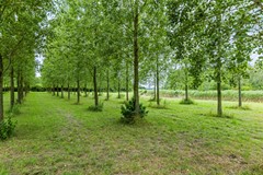 Zwingelstraat314671KLDinteloord-44.jpg