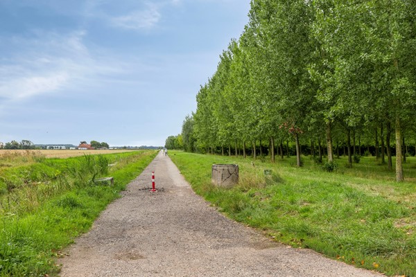 Medium property photo - Zwingelstraat 31, 4671 KL Dinteloord