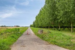 Zwingelstraat314671KLDinteloord-43.jpg