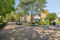 Omloop114671hwDinteloordNL-01.jpg