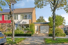 Omloop114671hwDinteloordNL-03.jpg