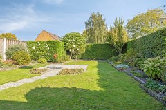 Omloop114671hwDinteloordNL-45.jpg