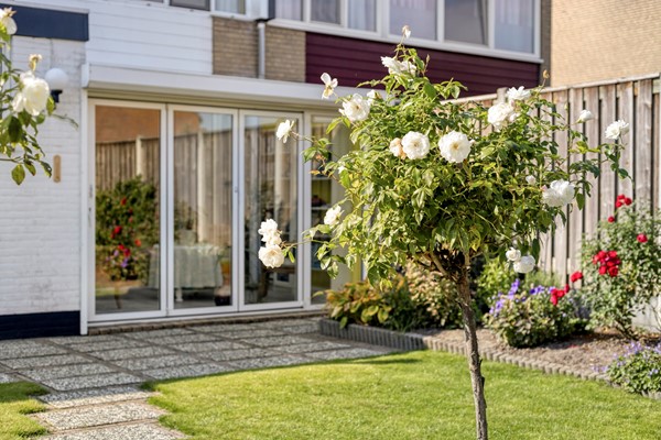 Medium property photo - Omloop 11, 4671 HW Dinteloord