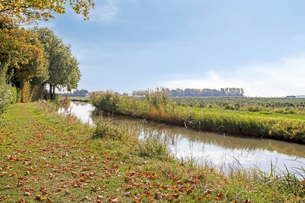 Medium property photo - Omloop 11, 4671 HW Dinteloord