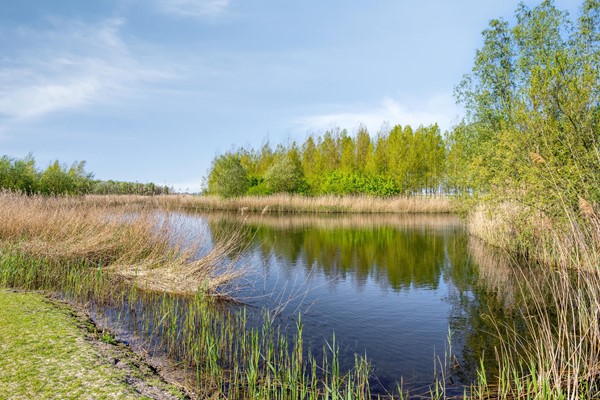 Medium property photo - Lijnzaadstraat 6, 4671 KR Dinteloord