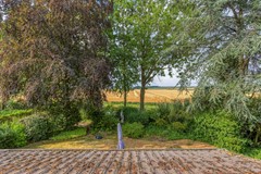 Omloop64671hxDinteloordNL-35.jpg
