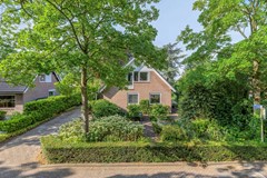 Omloop64671hxDinteloordNL-01.jpg