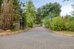 PrinsMauritsstraat64671GKDinteloordNL-81.jpg