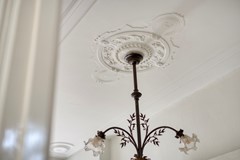 Steenbergseweg264671bgDinteloordNL-12.jpg