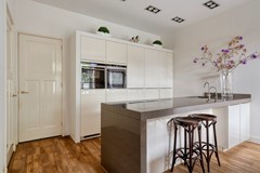 Steenbergseweg264671bgDinteloordNL-35.jpg