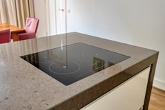 Steenbergseweg264671bgDinteloordNL-38.jpg