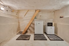 Steenbergseweg264671bgDinteloordNL-66.jpg