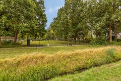 Steenbergseweg264671bgDinteloordNL-85.jpg