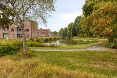 Steenbergseweg264671bgDinteloordNL-86.jpg