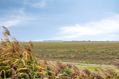 Noordlangeweg44671PKDinteloord-62.jpg