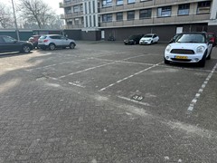 IMG_6772.JPEG