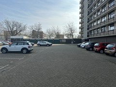 IMG_6776.JPEG