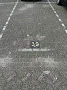IMG_6768.JPEG