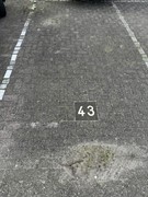 IMG_6770.JPEG