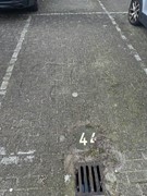 IMG_6771.JPEG
