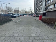 IMG_6781.JPEG