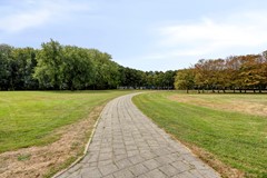 Honingerdijk69A033063akRotterdam-37.jpg