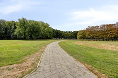 Honingerdijk69A013063akRotterdamNL-30.jpg