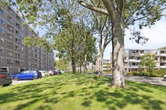 AdriaanDortsmanstraat1493067ncRotterdamNL-34.jpg