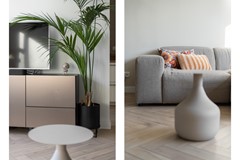 Staand-04 copy.jpg - Foto 7