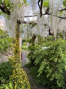 IMG_0494 (002).jpg - Foto 5