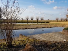 20180321_164328.jpg - Foto 11